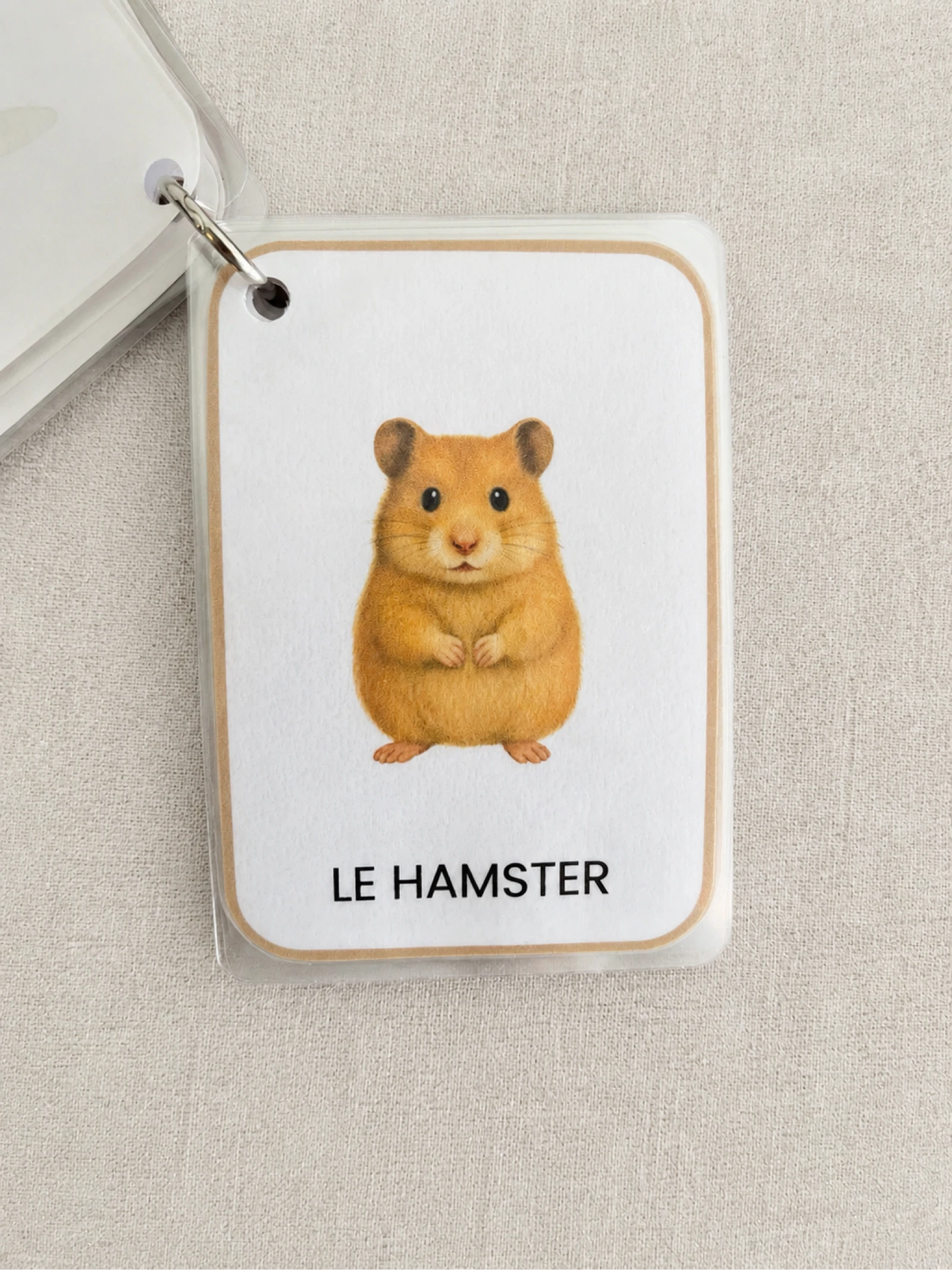 Mon imagier des animaux domestiques  – photo 2
